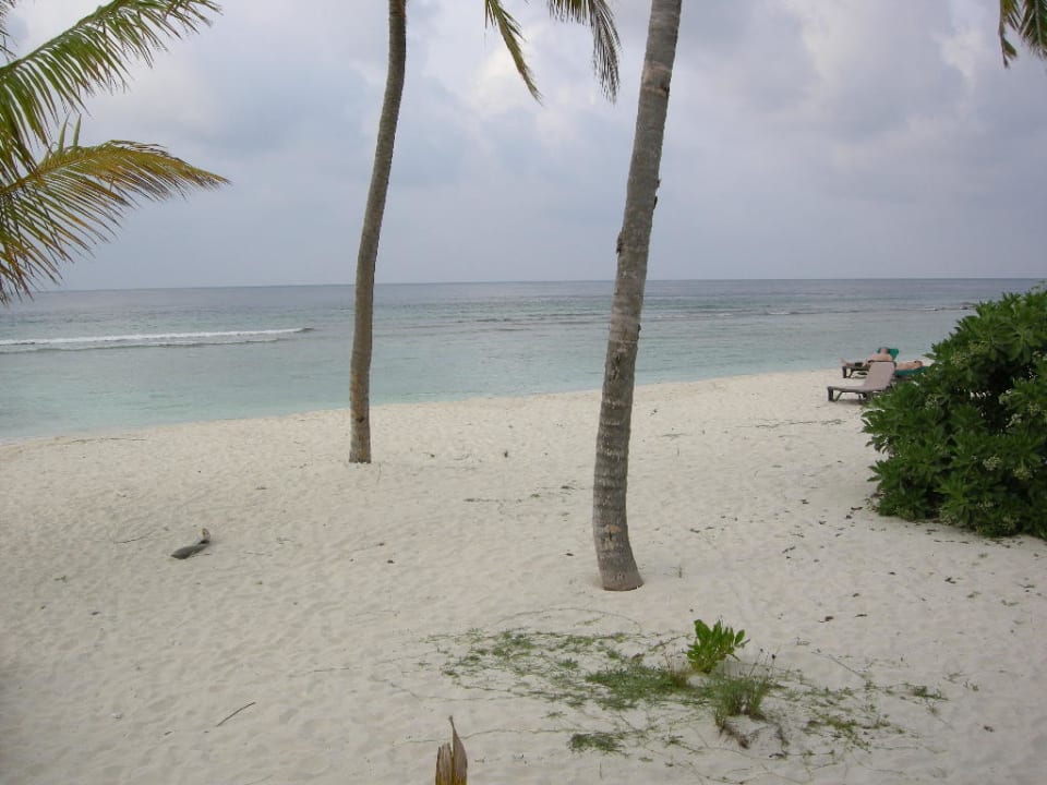 Strand Beach O Villen Kuredu Island Resort & Spa