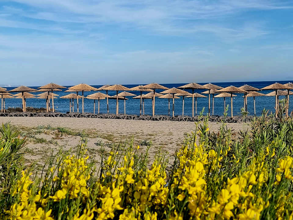 Strand Porto Bello Royal