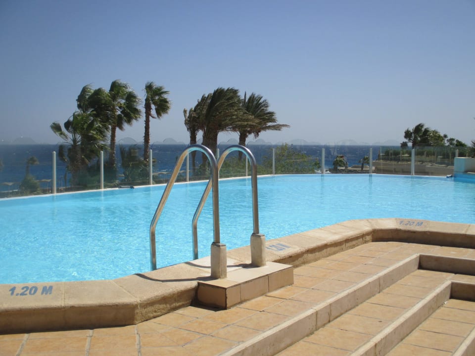 Любимый бассейн возле 5 корпуса Pickalbatros Citadel Resort