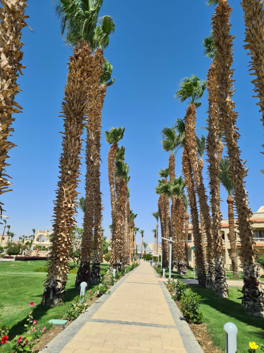 Gartenanlage Beach Albatros Resort