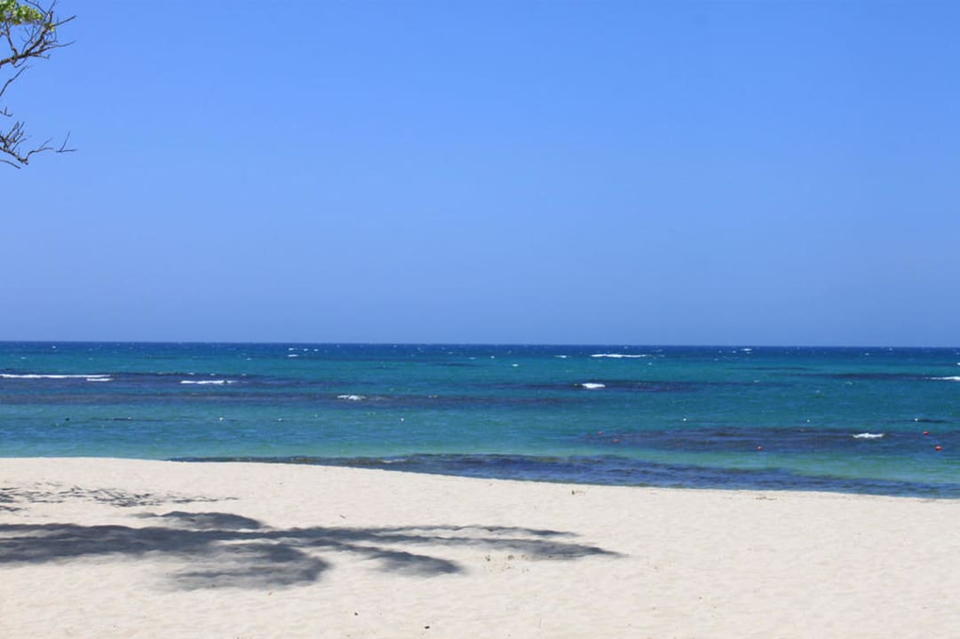 Schattenpalme Iberostar Waves Costa Dorada