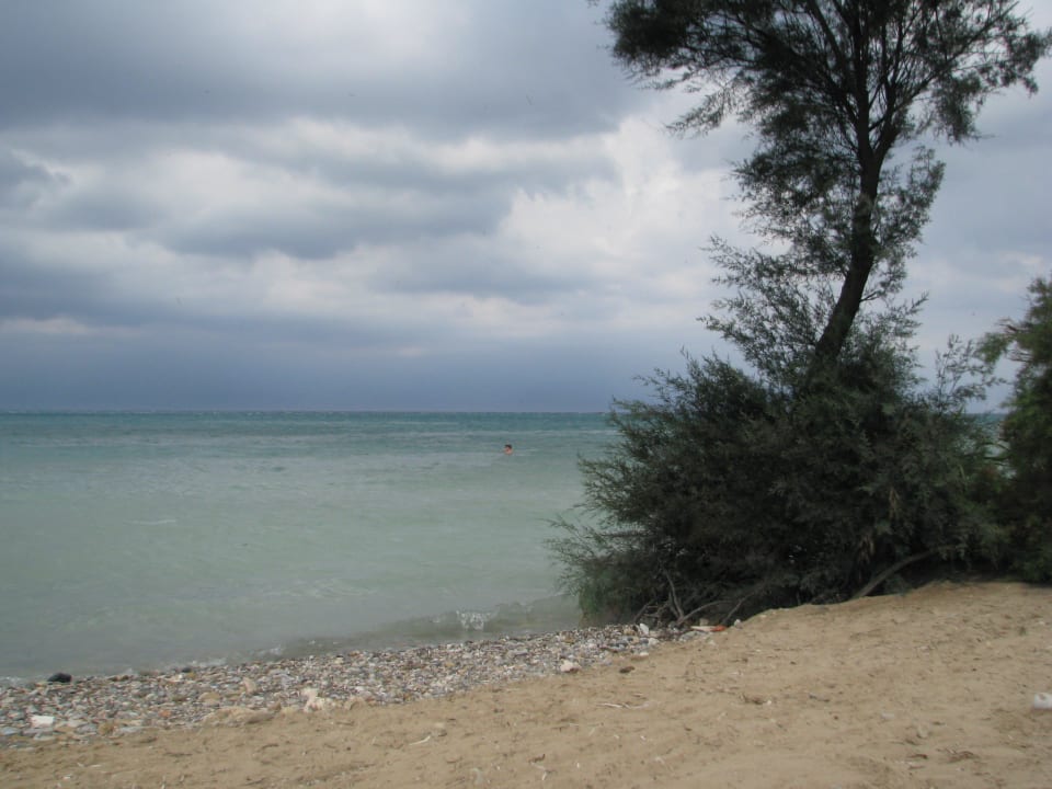 Plaża Hotel Angela Beach