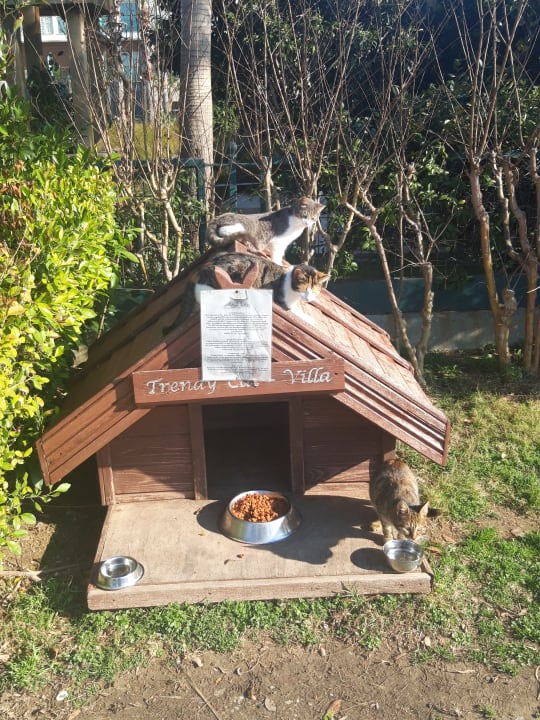 Gartenanlage Sentido Trendy Verbena Beach