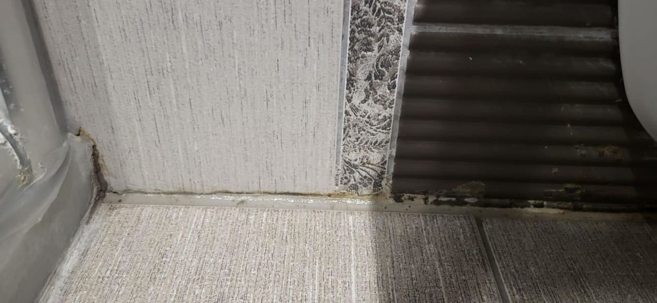 Zimmer Seaden Sea World Resort & Spa