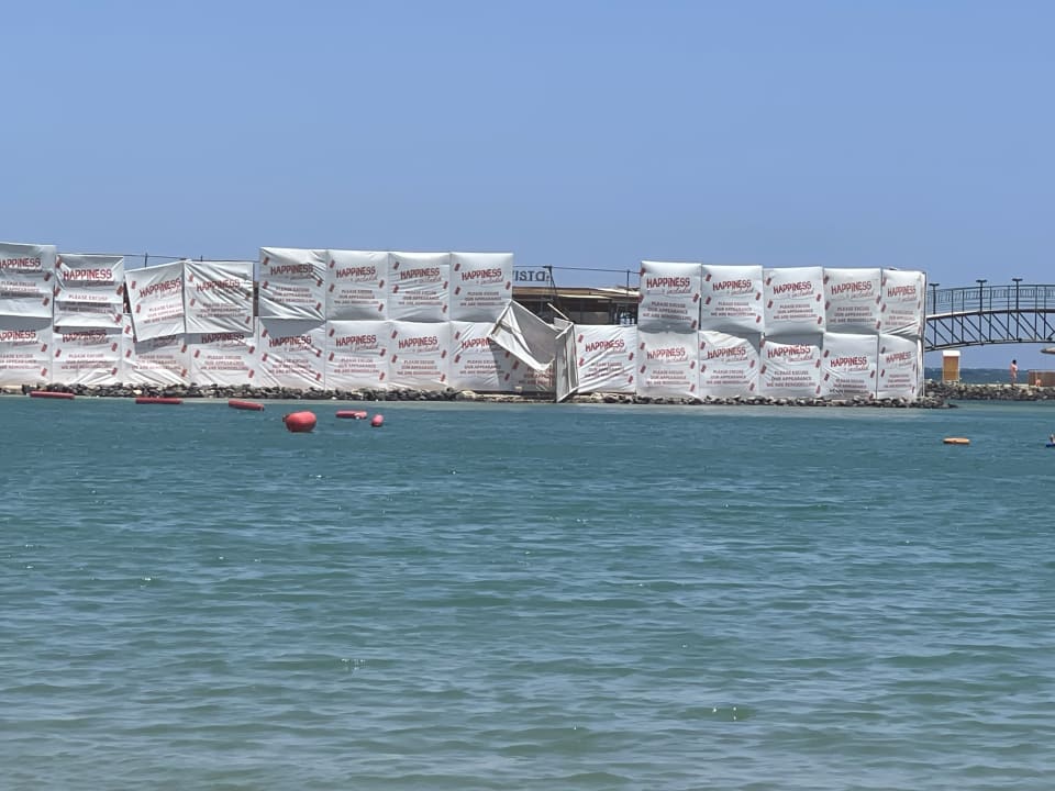 Sonstiges Desert Rose