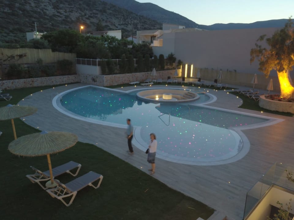 Pool Cactus Royal