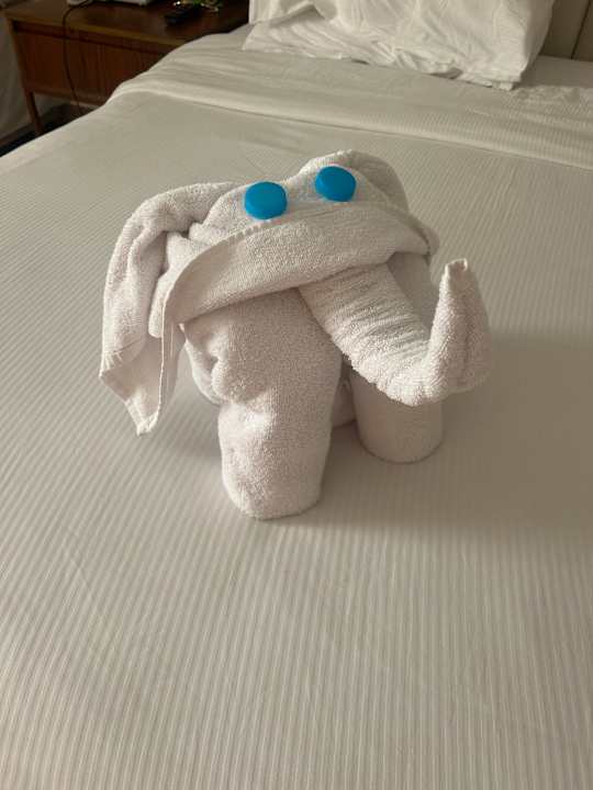 Zimmer Pickalbatros Dana Beach Resort - Hurghada