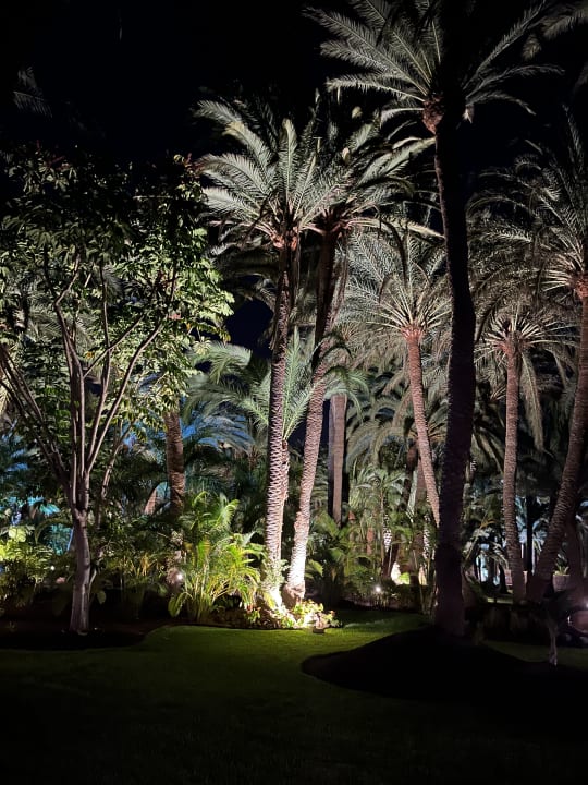 Außenansicht Hotel Riu Palace Oasis