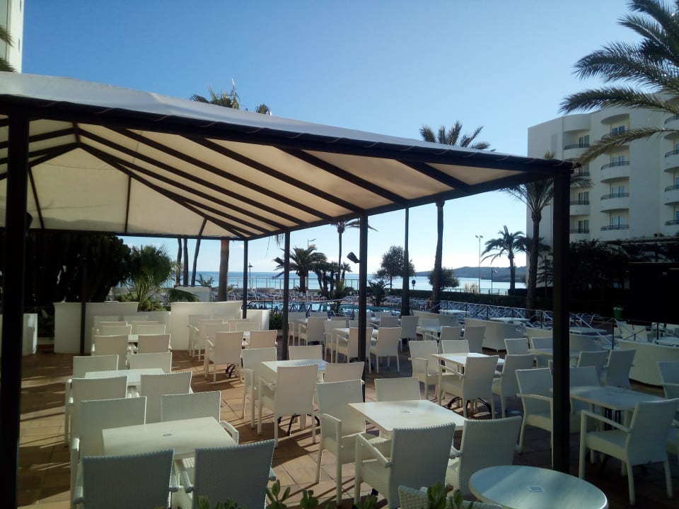 Gartenanlage Hipotels Hipocampo Playa