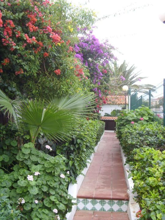 Weg zu den Bungalows Hotel La Concha del Mar