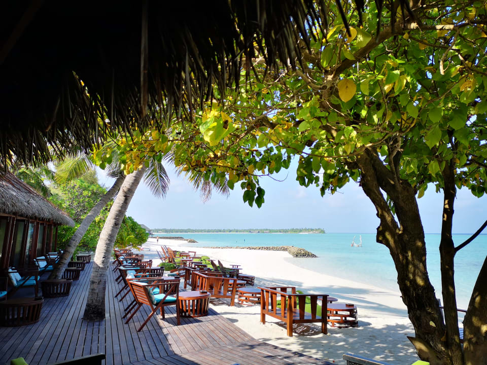 Gastro Summer Island Maldives