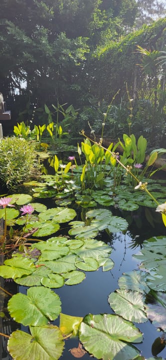 Gartenanlage Hotel Let's Sea Hua Hin Al Fresco Resort