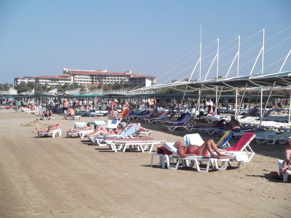 Super Strand Hotel Terrace Beach Resort