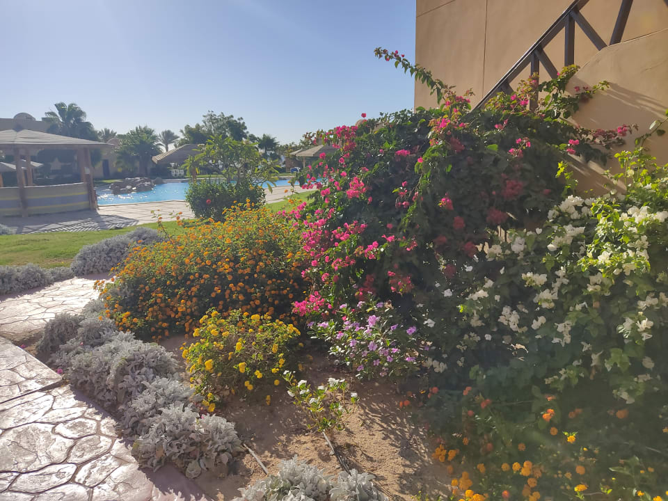 Gartenanlage Wadi Lahmy Azur Resort