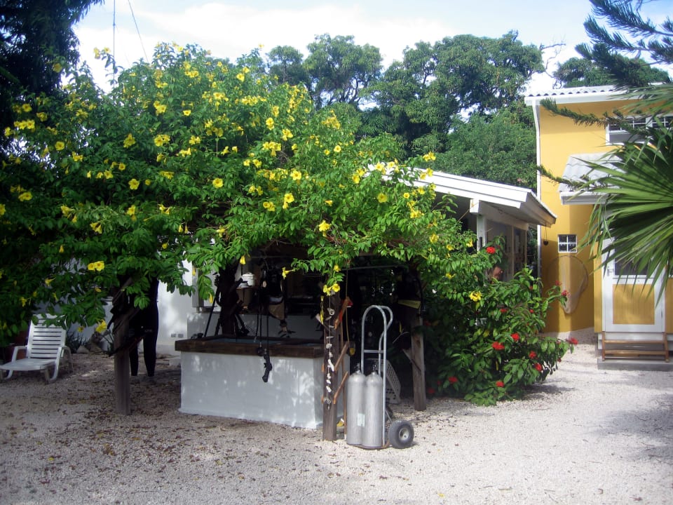 Gartenanlage mit Tauchwachbecken. Villa Mango Curacao