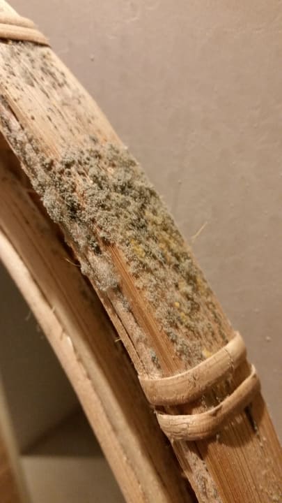 Zimmer Veranda Tamarin Hotel