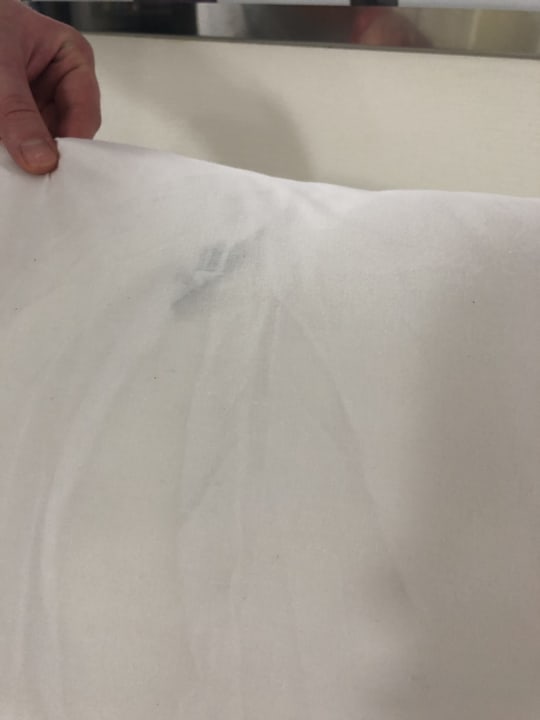 Zimmer Hotel Riu Playacar