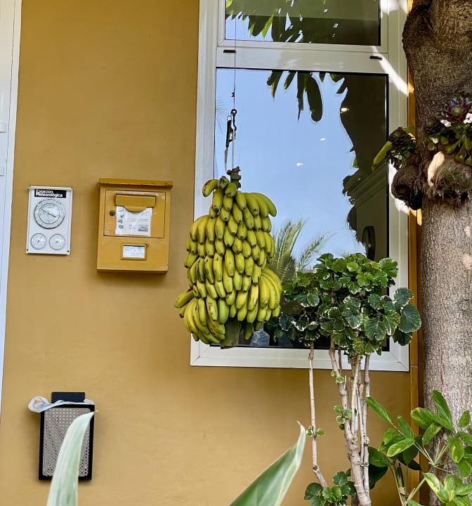 Gastro Tigaiga Suites