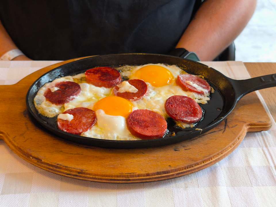 Gastro Seashell Vega