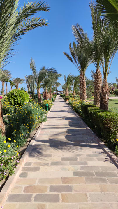 Gartenanlage Pensée Royal Garden Beach Resort