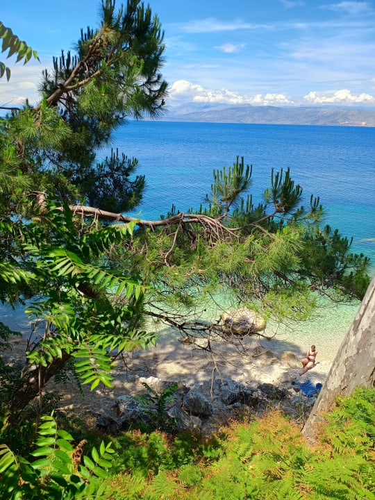 Sonstiges Hotel Albatros