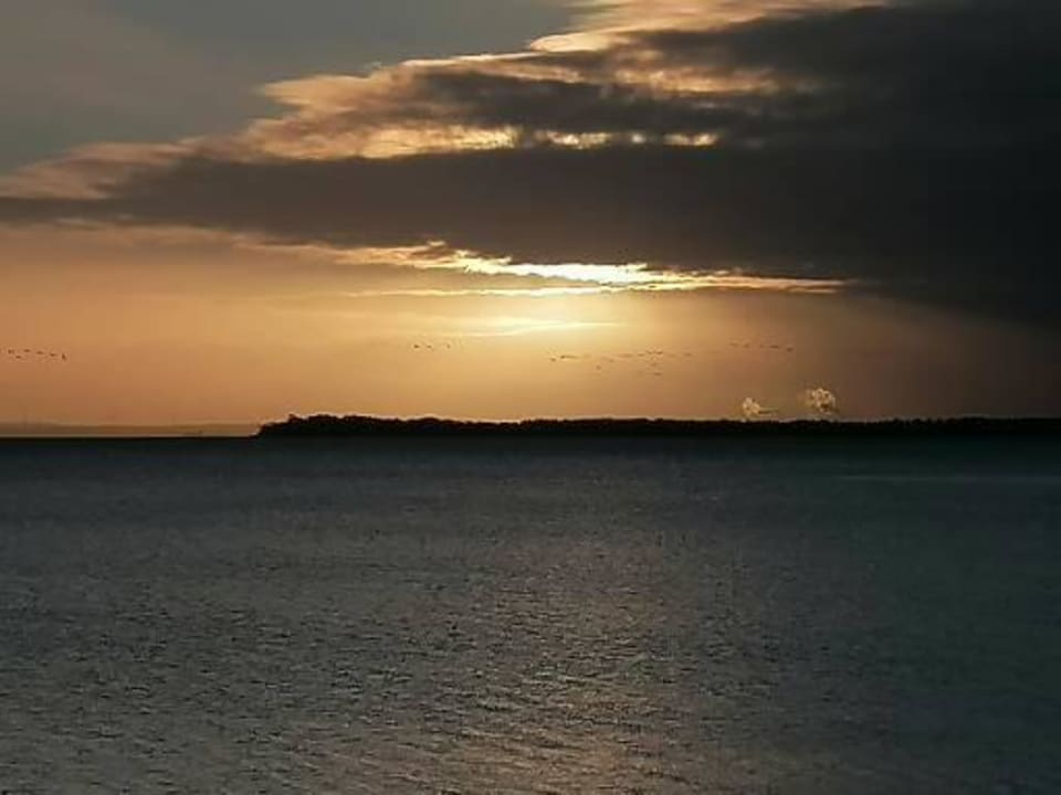 Ausblick BEECH Resort Boltenhagen