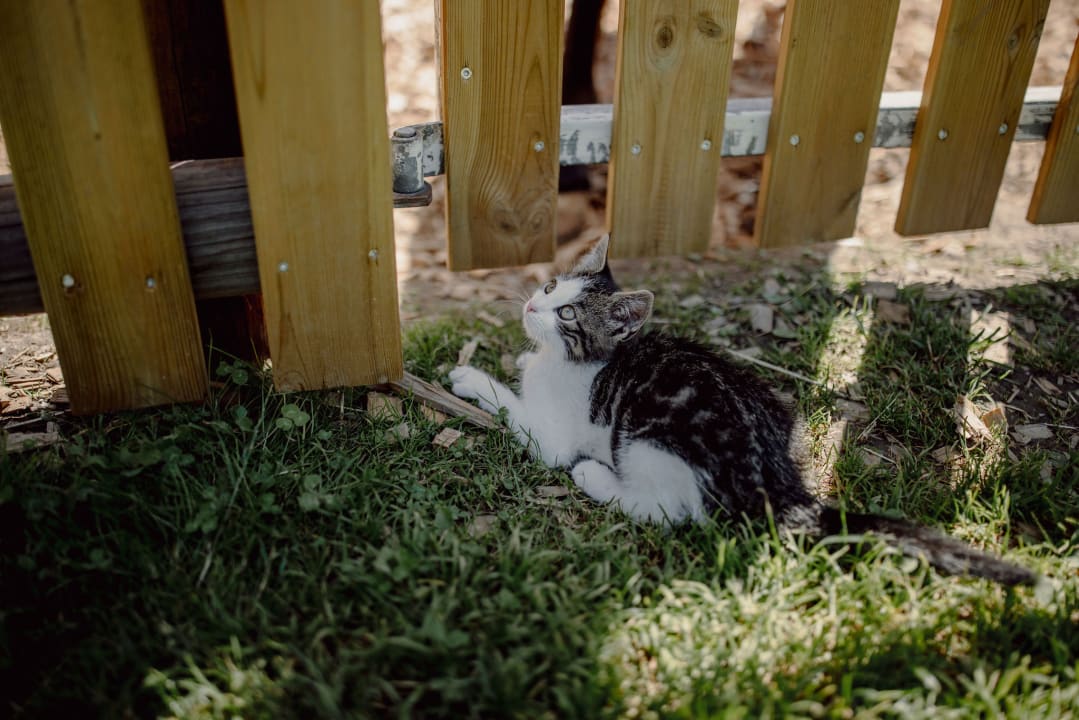 Gartenanlage Hotel Ferienparadies Lerch