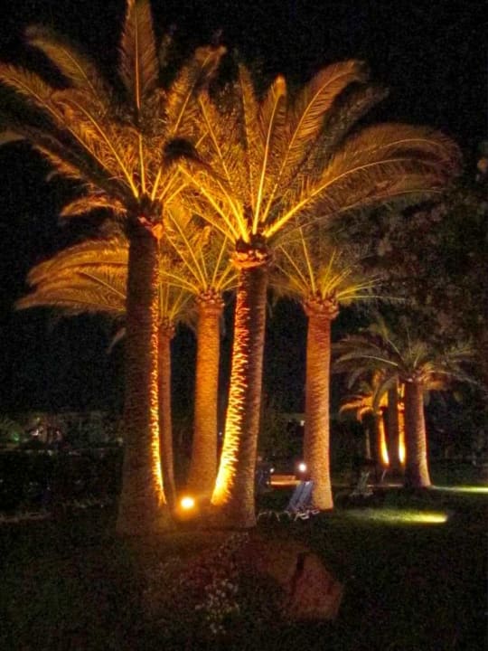 Gartenanlage Anissa Beach & Village