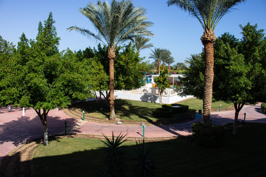 Ausblick Desert Rose