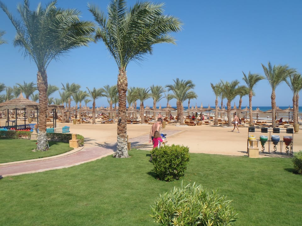 Traumhafter Rasen, betreten Pflicht! Pickalbatros Palace Resort