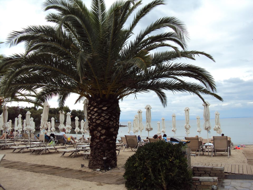 Strand Anthemus Sea Beach Hotel & Spa