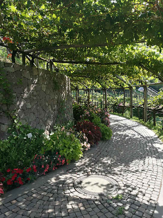 Ausblick Parkhotel Tirolerhof