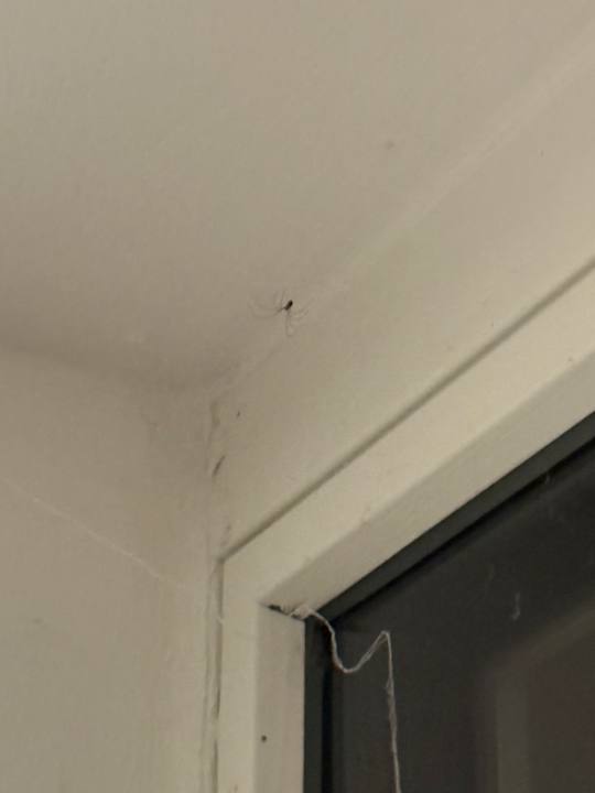 Zimmer Hotel Spitzerberg by b-smart