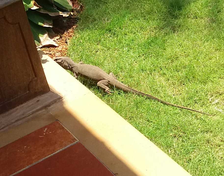 Gartenanlage Hotel Lakesong Resort