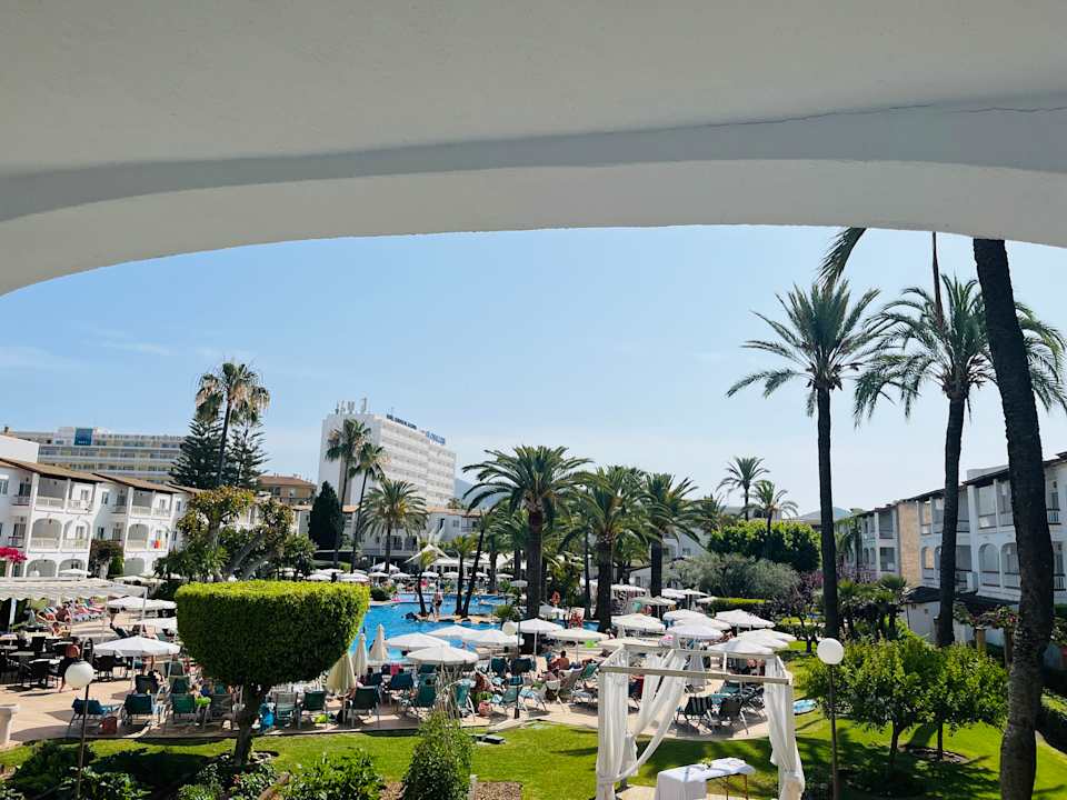 Gartenanlage Alcudia Garden Aparthotel