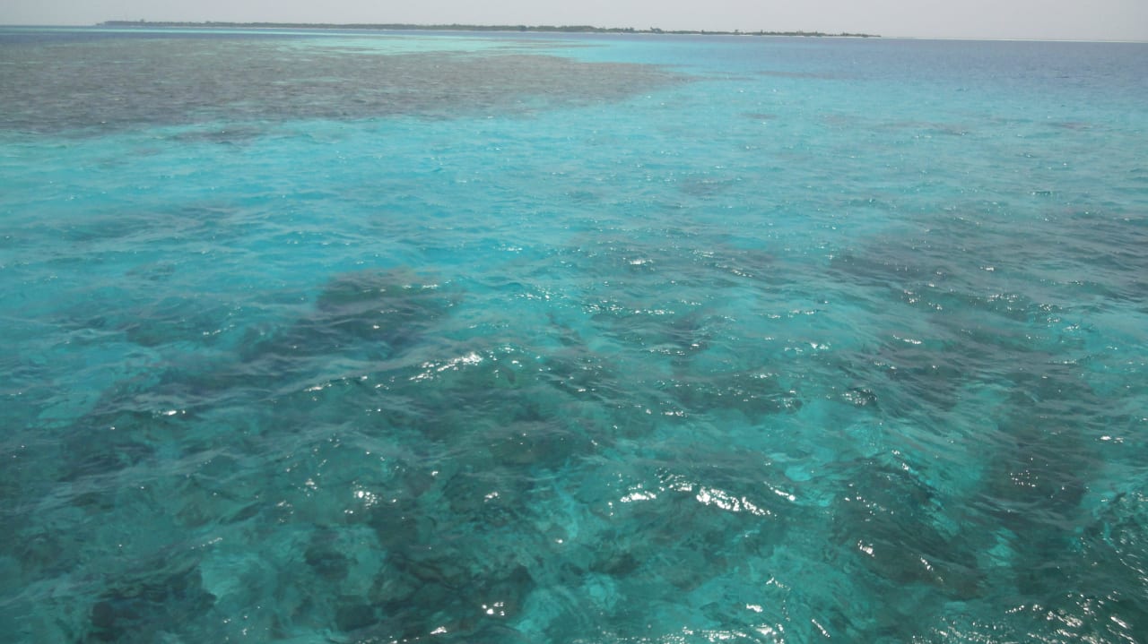 Glasklar! LUX South Ari Atoll