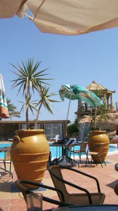 Poolbar Sea Life Charmillion Gardens Aquapark
