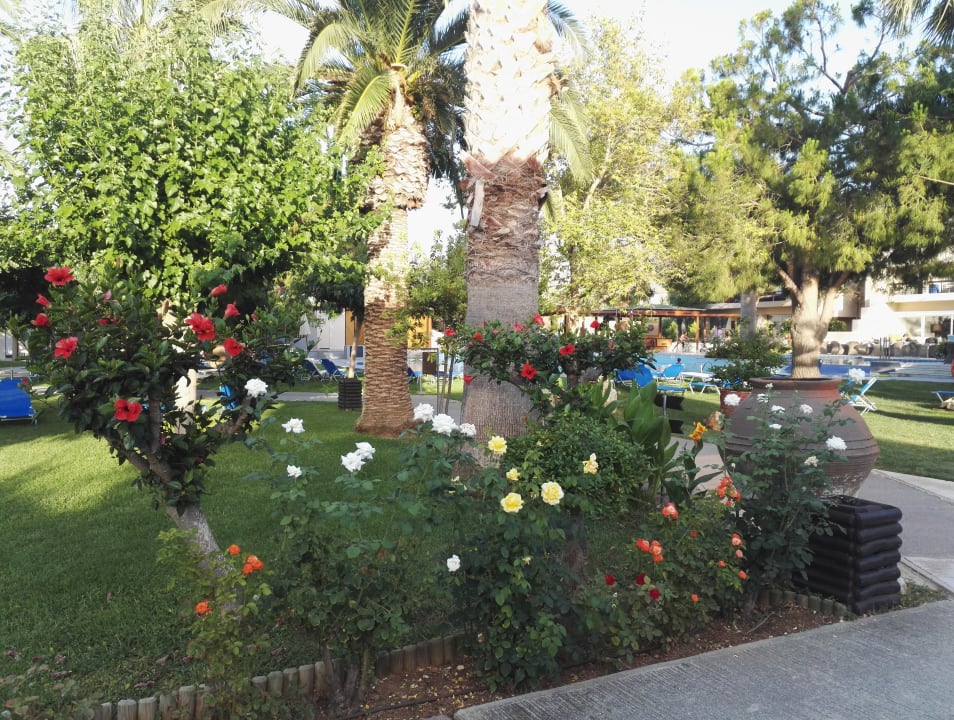 Gartenanlage Phãea Cretan Malia