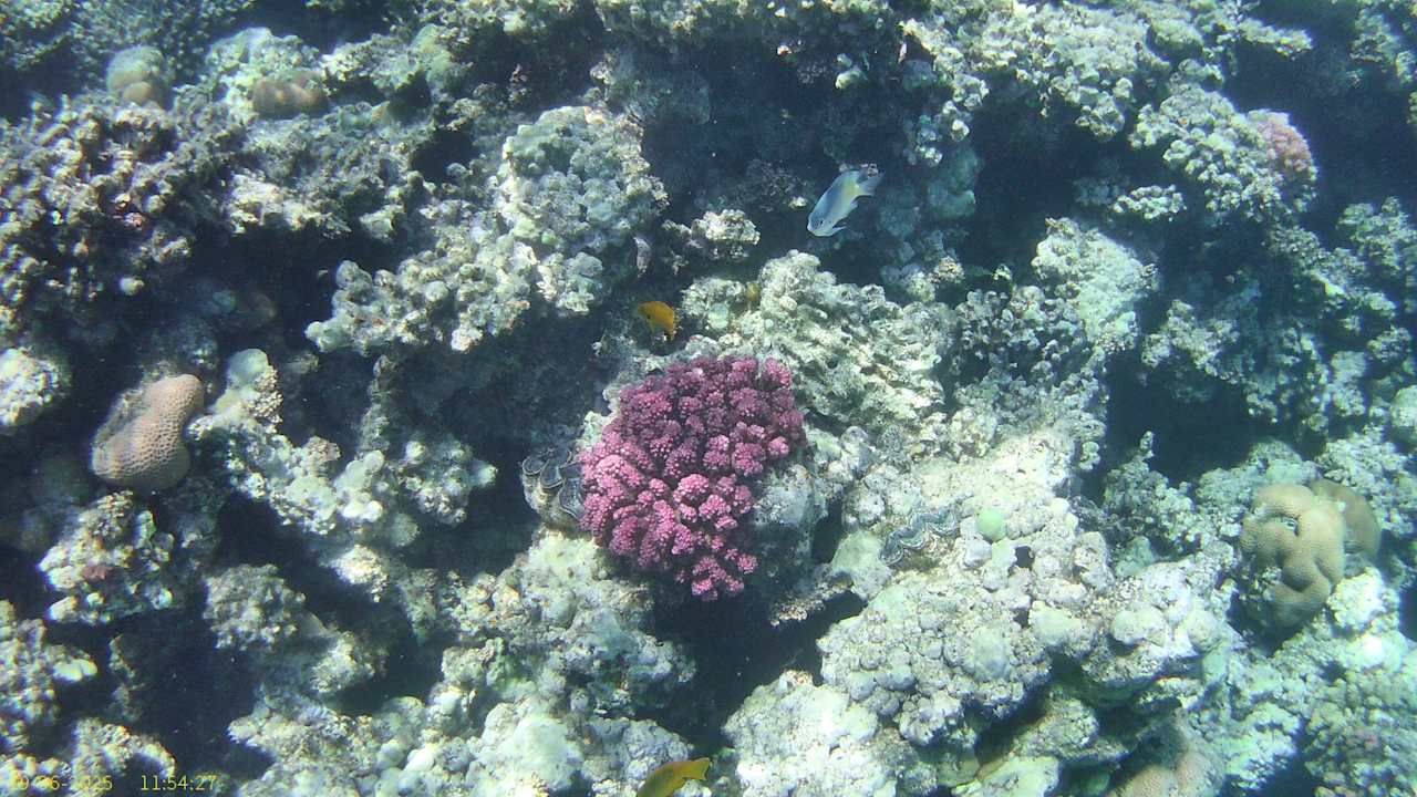 Strand Cleopatra Luxury Resort Makadi Bay