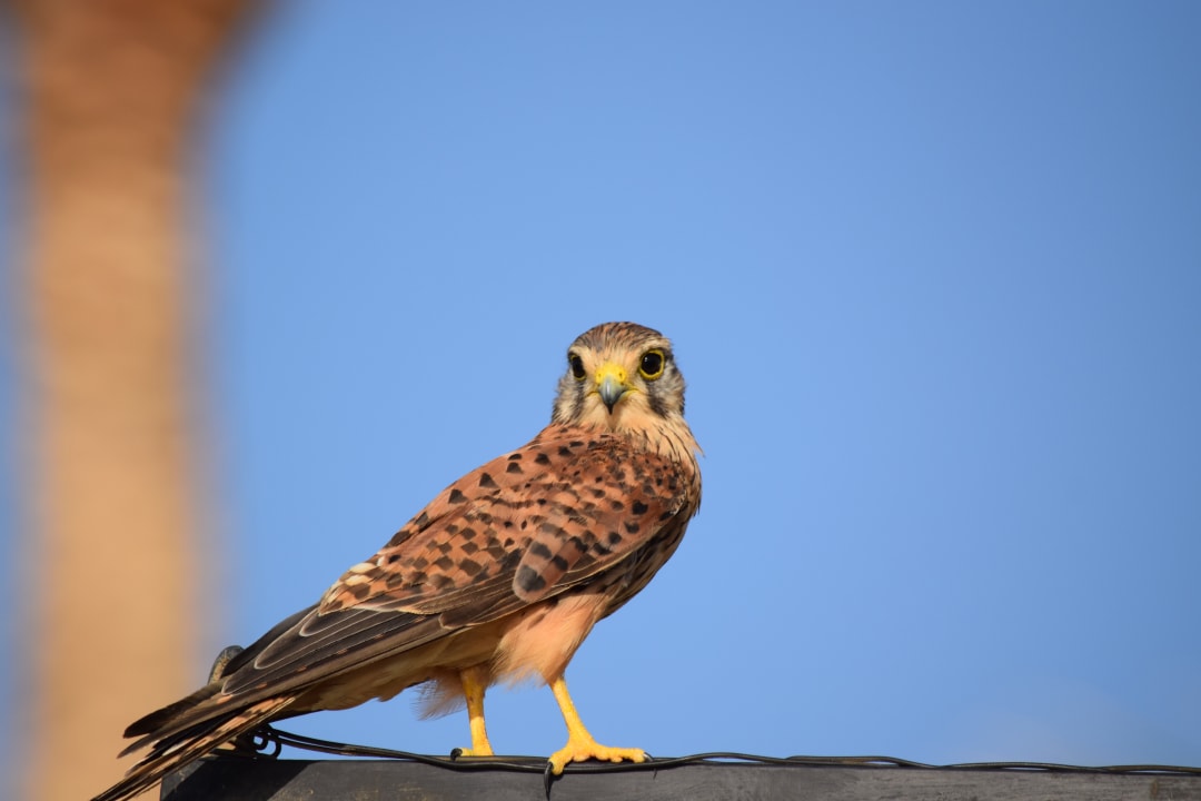 Sonstiges Makadi Spa - Adults only