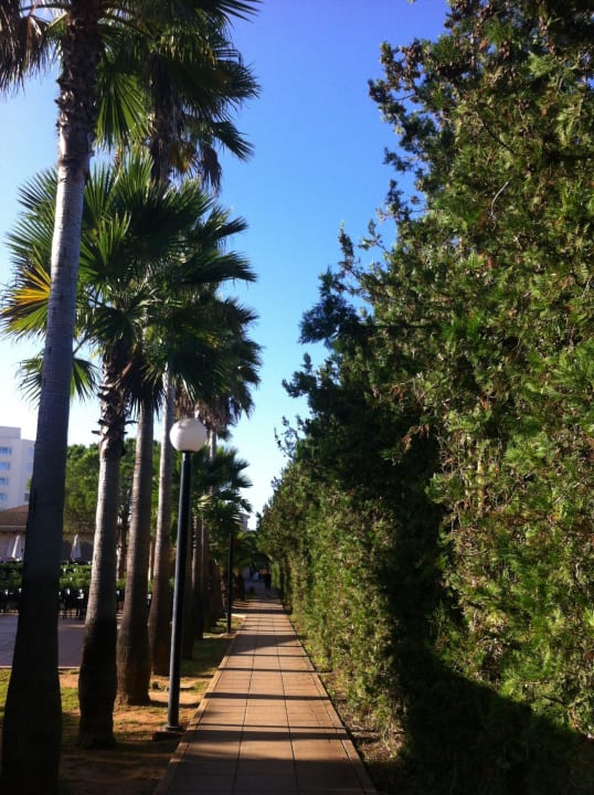 Entlang der Anlage Hipotels Mediterraneo Club