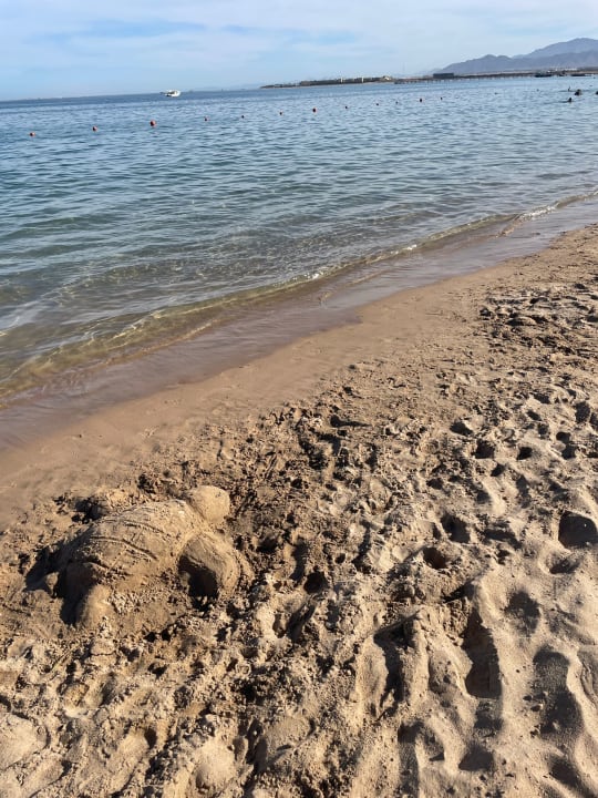 Strand Sentido Caribbean World Soma Bay