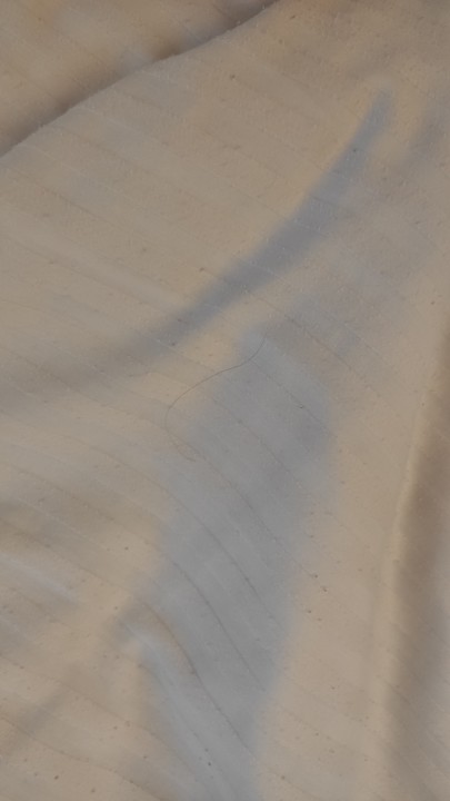 Zimmer Coral Sun Beach