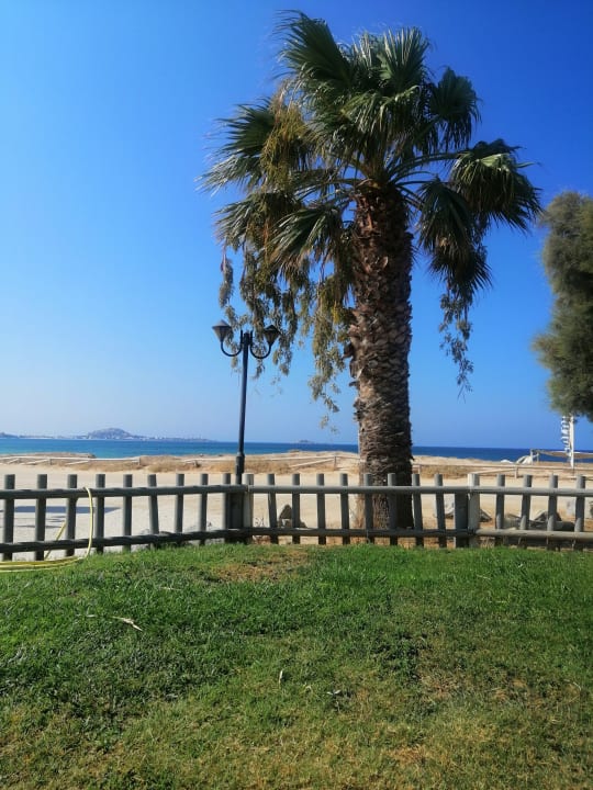 Pool Plaza Beach Hotel