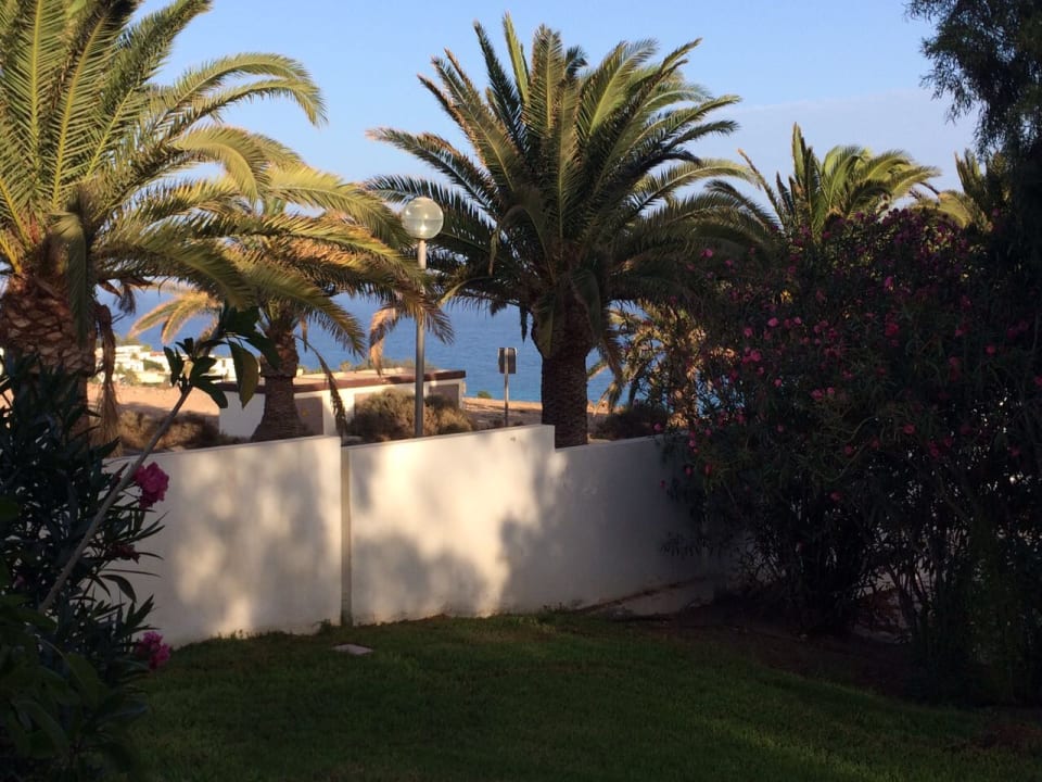 Ausblick allsun App.-Hotel Esquinzo Beach