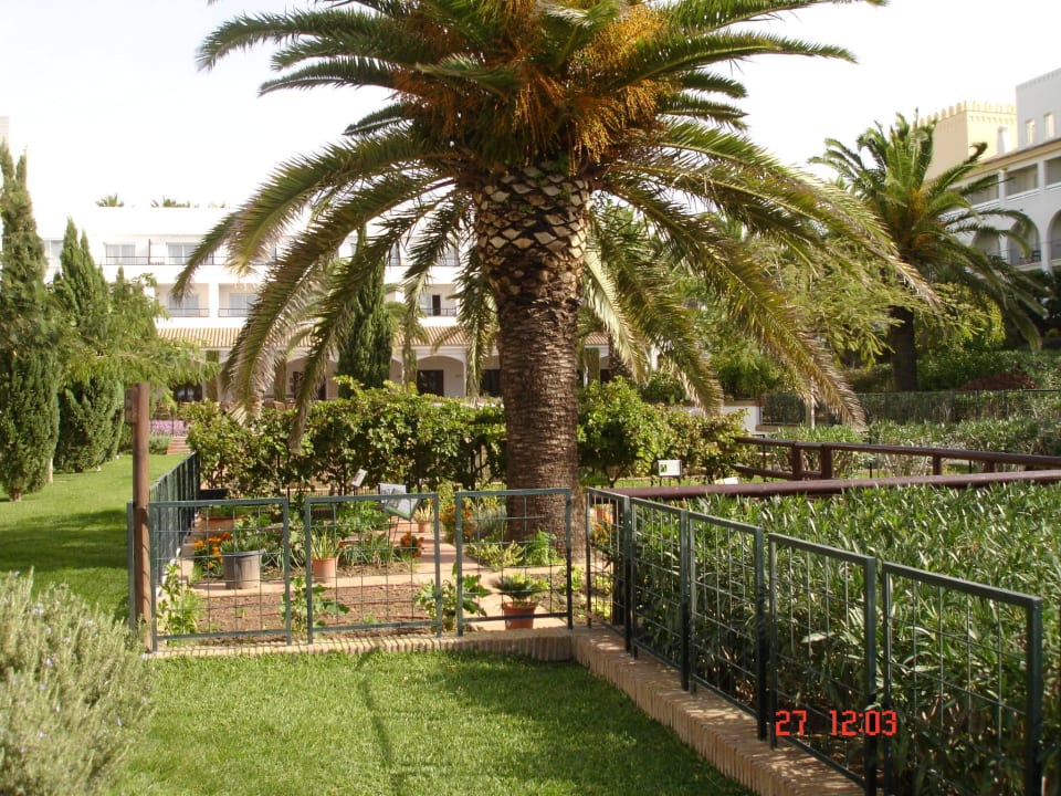 Hotel Fuerte Costa Luz Fuerte Costa Luz (Fuerte Conil-Resort)