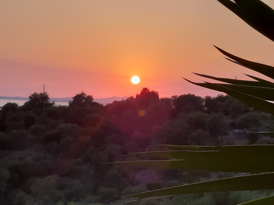 Ausblick Apartments Oase Muth