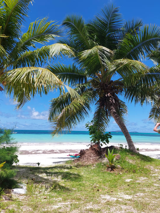 Strand Hotel Cote d'or Lodge