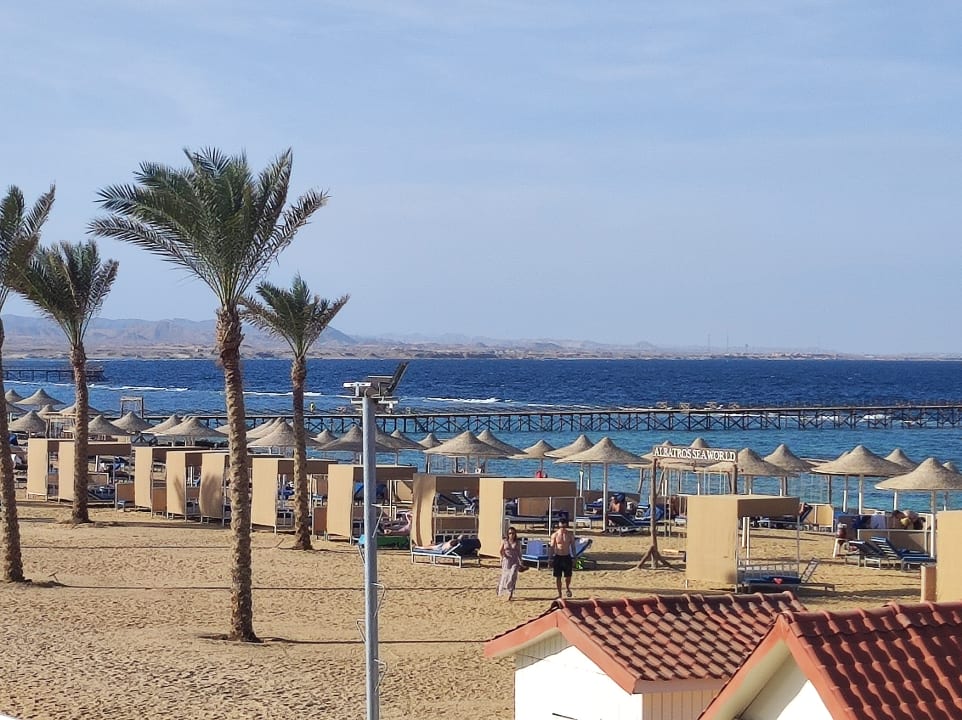 Strand Pickalbatros Sea World Resort - Marsa Alam