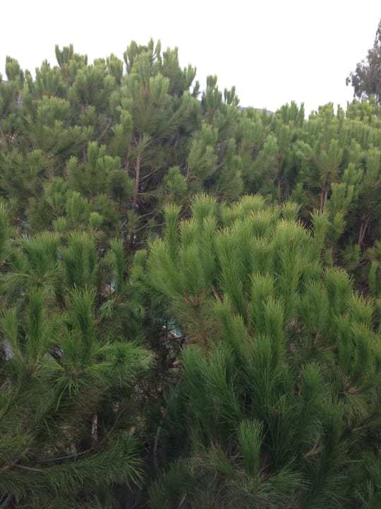 Zimmeraussicht Ephesia Holiday Beach Club